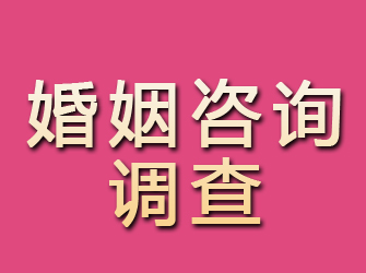 安庆婚姻咨询调查